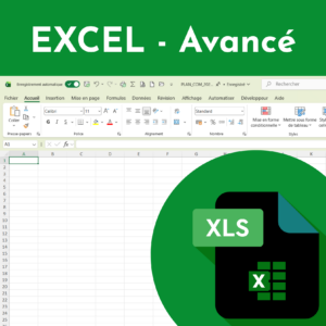 Formation Excel - Avancé