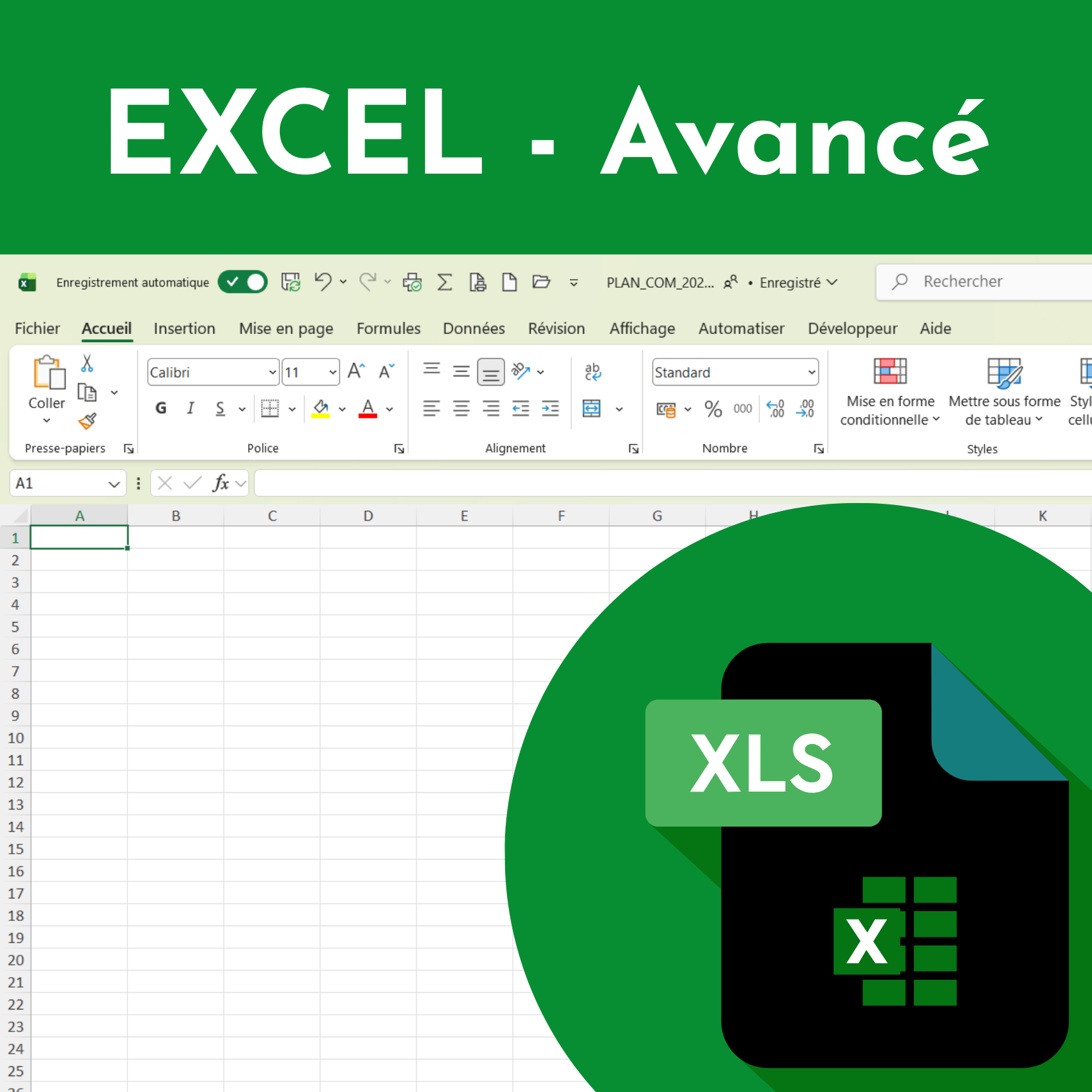 Formation Excel - Avancé